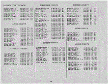 Georgia Army Page 20