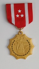 Philippine Defense Medal