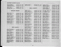 Texas Army Page 3