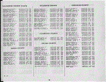 Texas Army Page 32