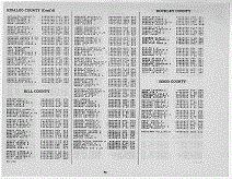 Texas Army Page 44